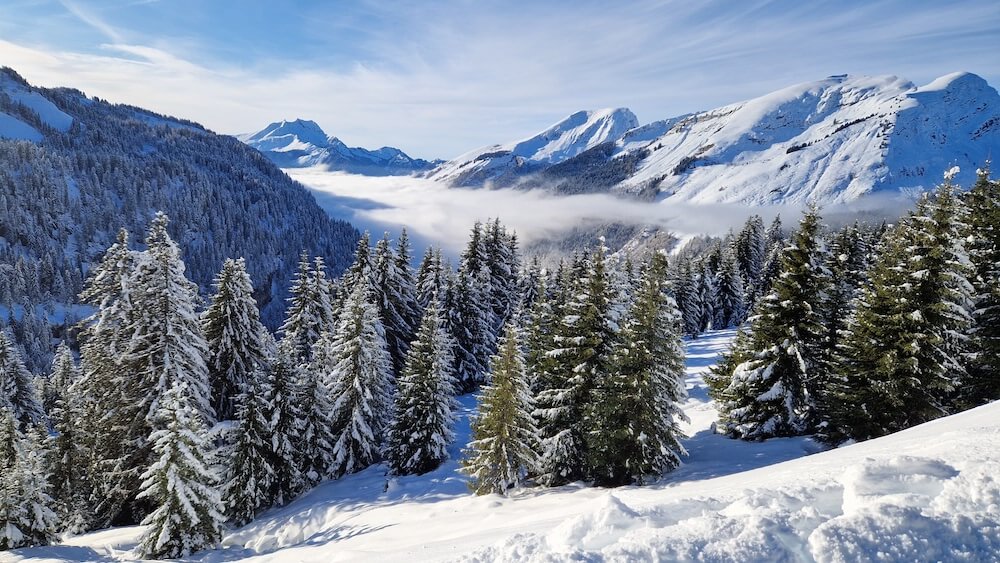 How to Travel More Sustainably